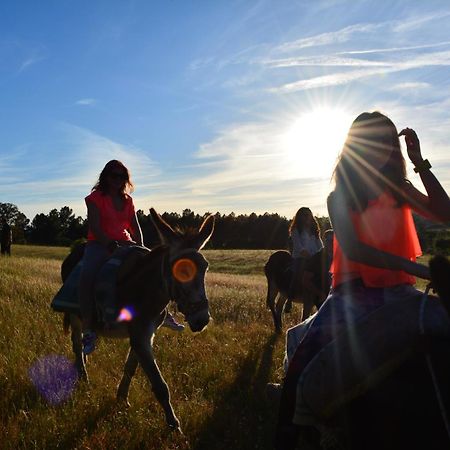Turismo Rural 4Quintas Minhocal Εξωτερικό φωτογραφία