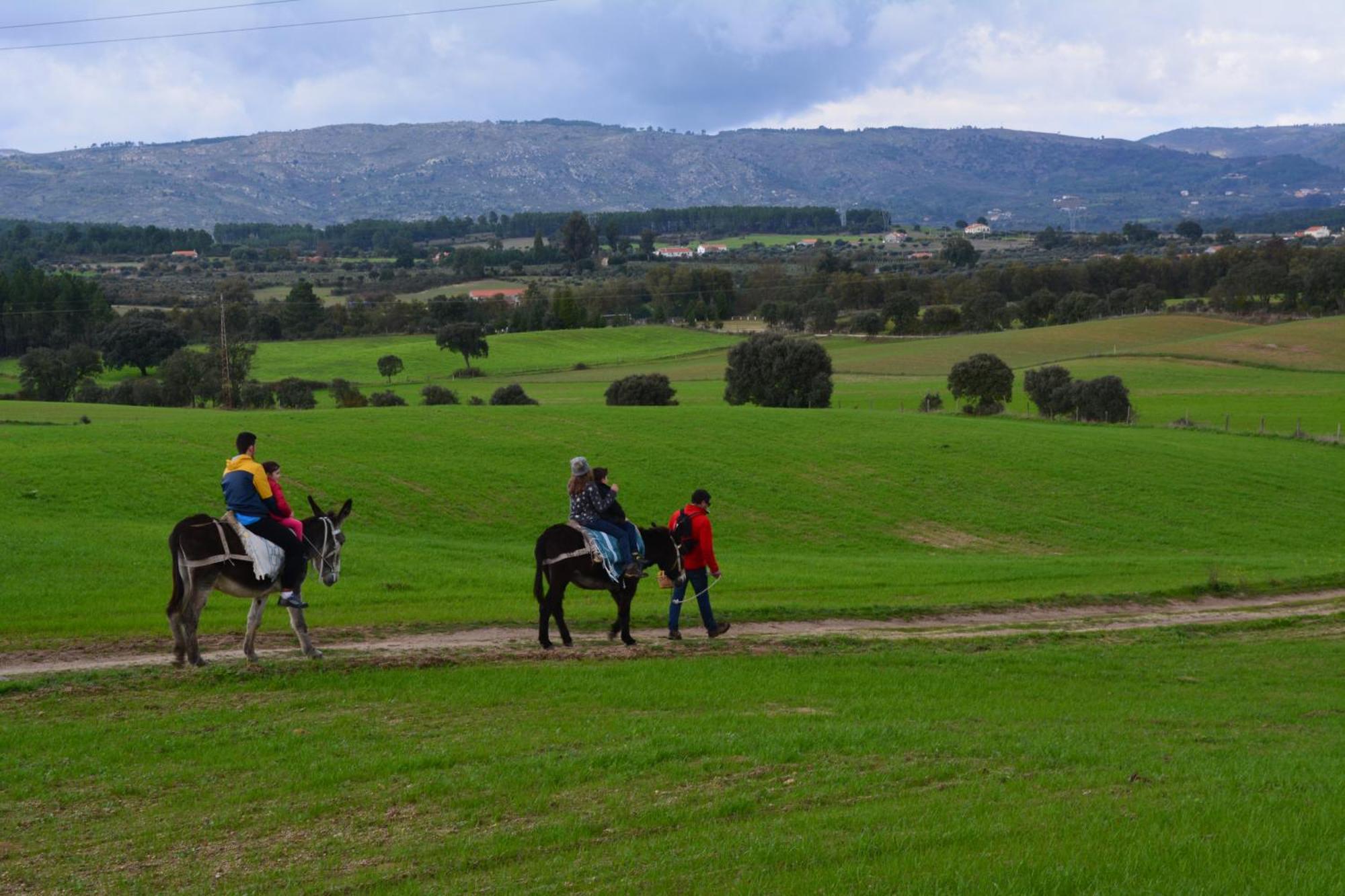 Turismo Rural 4Quintas Minhocal Εξωτερικό φωτογραφία