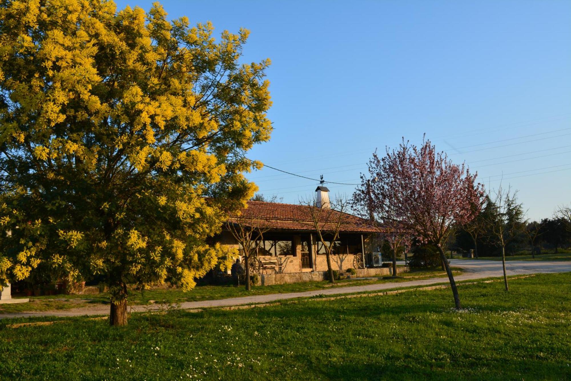 Turismo Rural 4Quintas Minhocal Εξωτερικό φωτογραφία