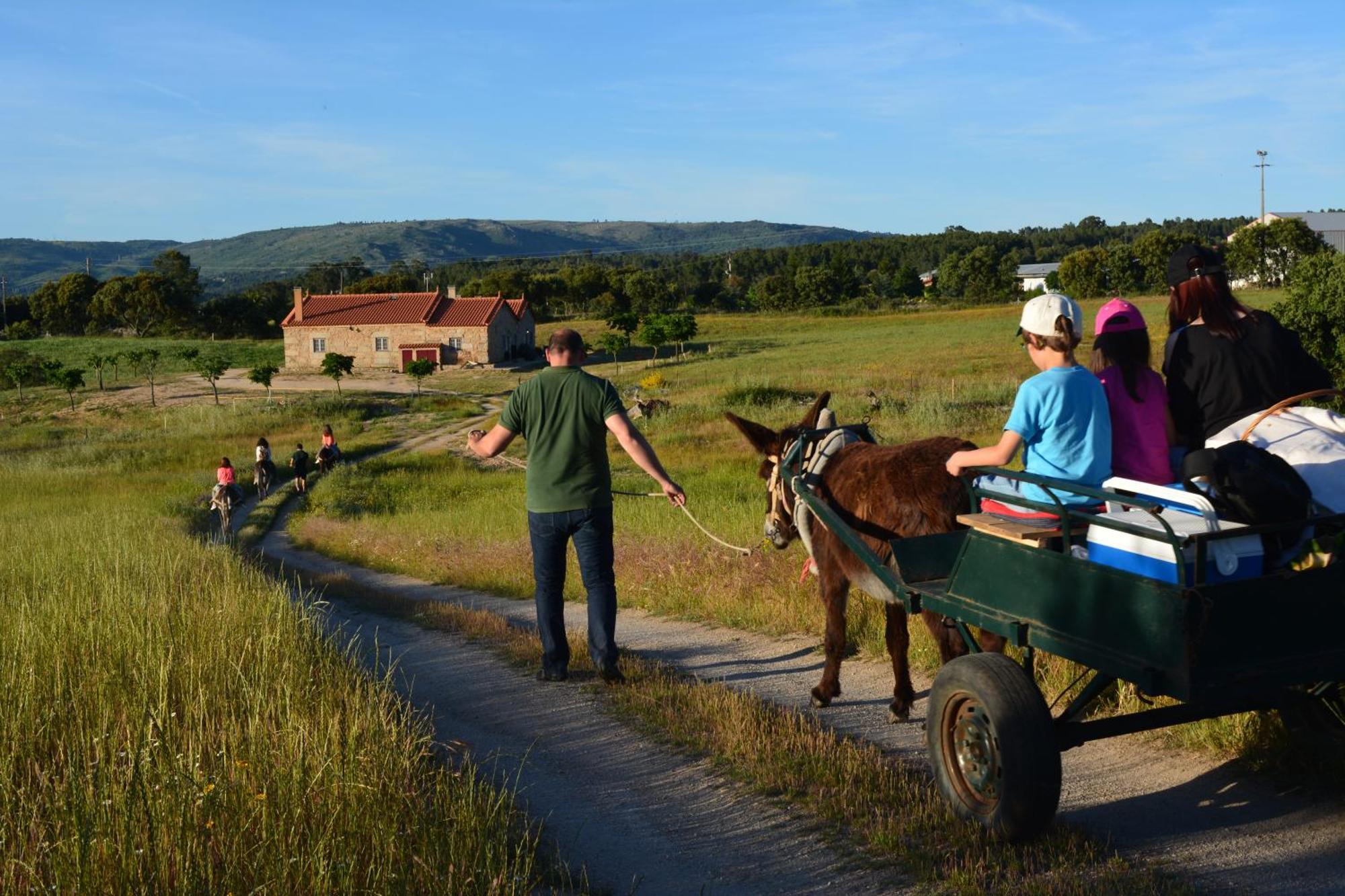 Turismo Rural 4Quintas Minhocal Εξωτερικό φωτογραφία